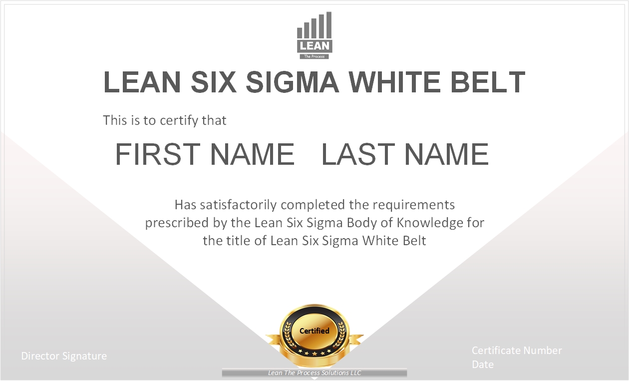 Lean Six Sigma White Belt