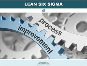 Process Improvement Using Lean Six Sigma: A Comprehensive Guide - Lean ...