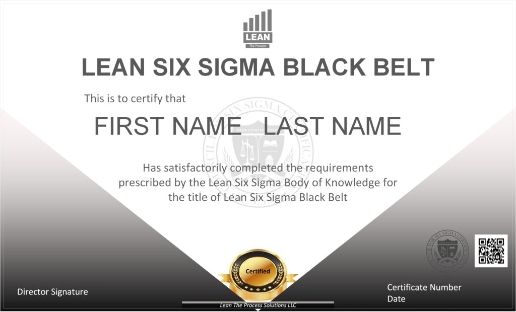 Lean Six Sigma Black Belt