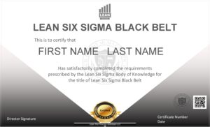 Lean Six Sigma Black Belt