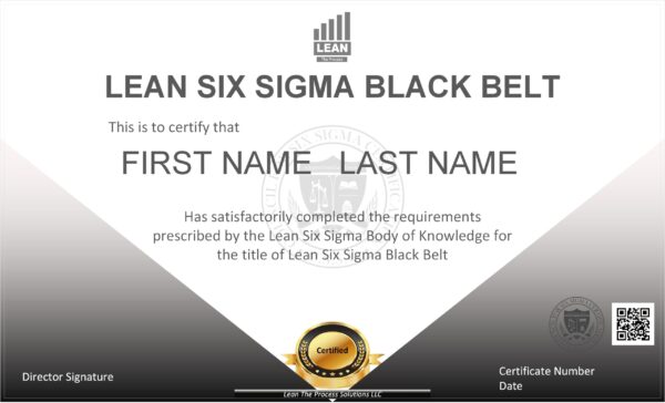 Lean Six Sigma Black Belt