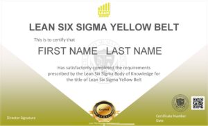 Lean Six Sigma Yellow Belt